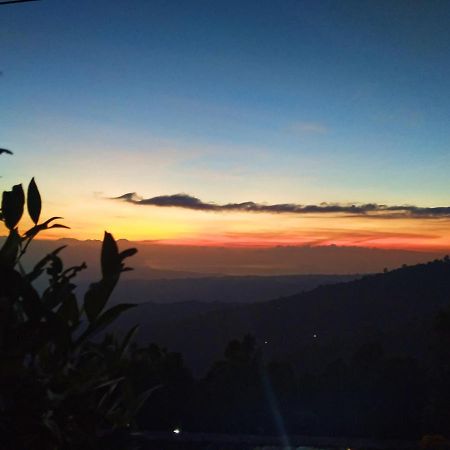 Puri Sunset Homestay Munduk  Luaran gambar