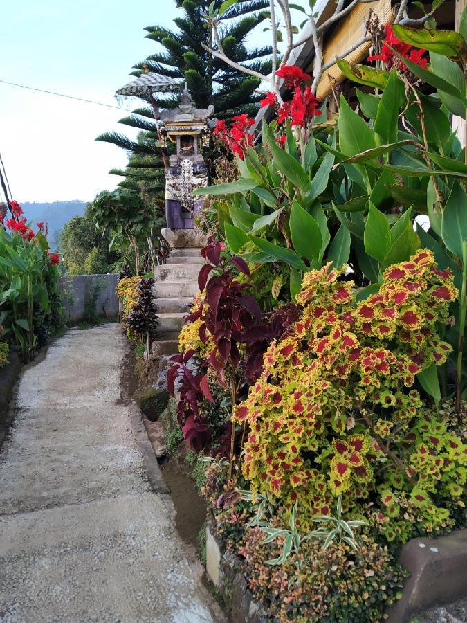 Puri Sunset Homestay Munduk  Luaran gambar